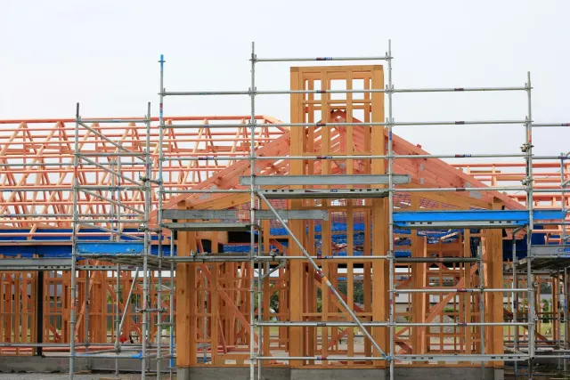 Lockup: timber frame and scaffold
